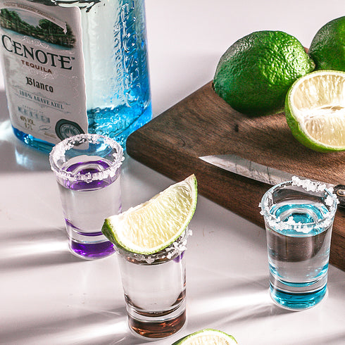 50ml Shot Glasses Coloured Base Set of 6